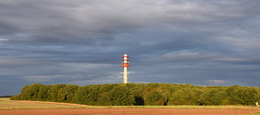 Nos paysages et espaces ruraux